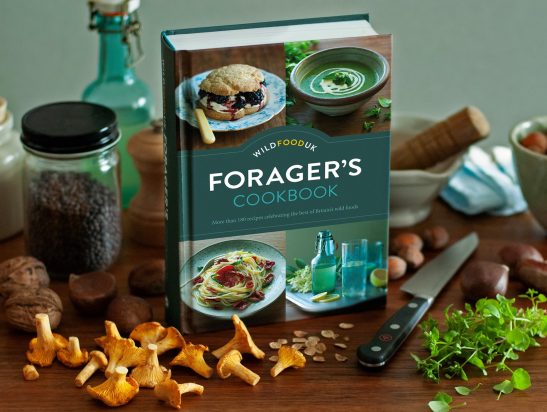 The Wild Food UK Forager's Cookbook