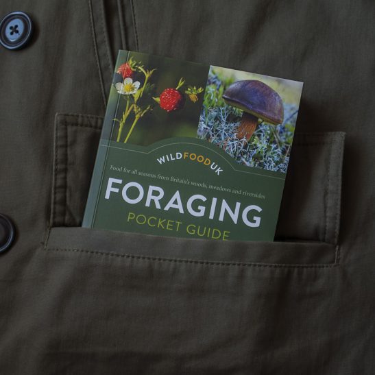 Foraging Pocket Guide - Image 4