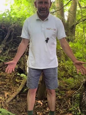 Giant hogweed Watch month 4 #wildfooduk #foraging #foragingcourses #wildfood #foragedfood...
